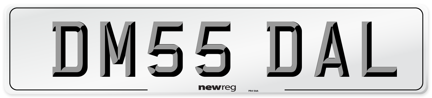 DM55 DAL Number Plate from New Reg